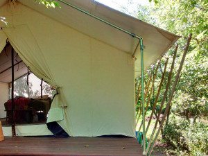 Solar Powered Tent in Frankford, DE